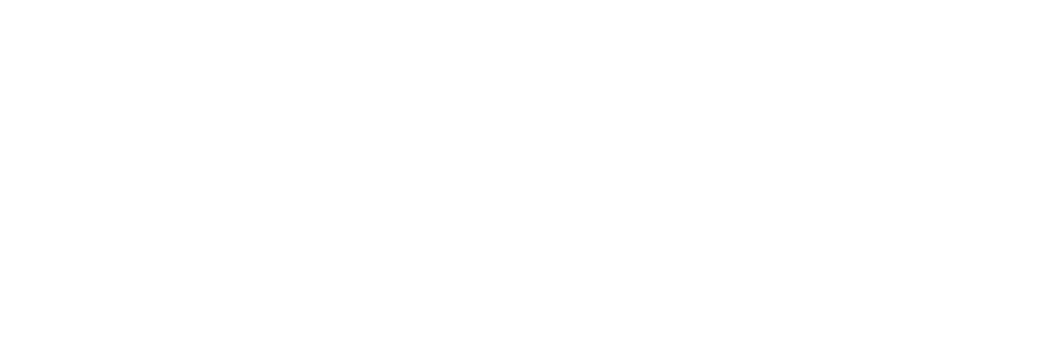 SCION