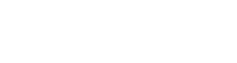 SCION
